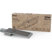 Светильник уличный консольный ДКУ 30 Вт 3000 лм 5000К AC 220В IP65 316х130х57мм широкая КСС Ш Avenue