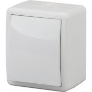 Выключатель одноклавишный наружный (открытой установки) IP54 белый 10А 250В винтовые зажимы ЭРА Эксперт 11-1401-01