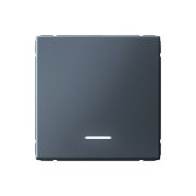 ARTGALLERY 1-клавишный ВЫКЛЮЧАТЕЛЬ с подсветкой, 10АХ, механизм, быстрозажимные клеммы, ГРИФЕЛЬ