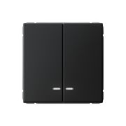 ARTGALLERY 2-клавишный выключатель с подсветкой, сх.5а, 10АХ, механизм, карбон